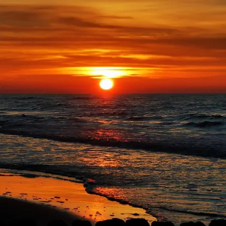 Gold B33 Let's Sea Baltic Park *