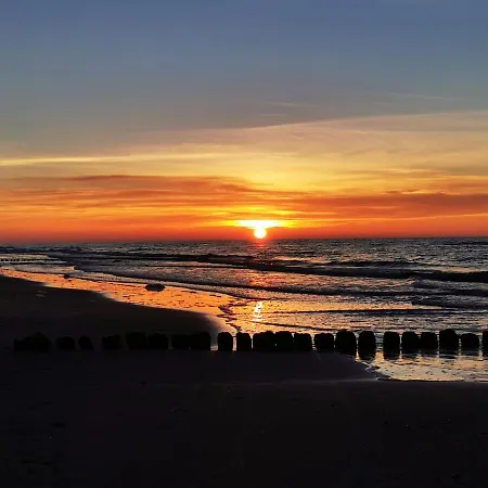 Gold B33 Let's Sea Baltic Park *