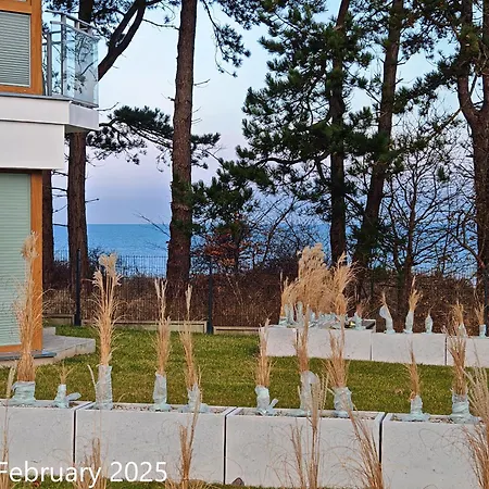 Gold B33 Let's Sea Baltic Park *