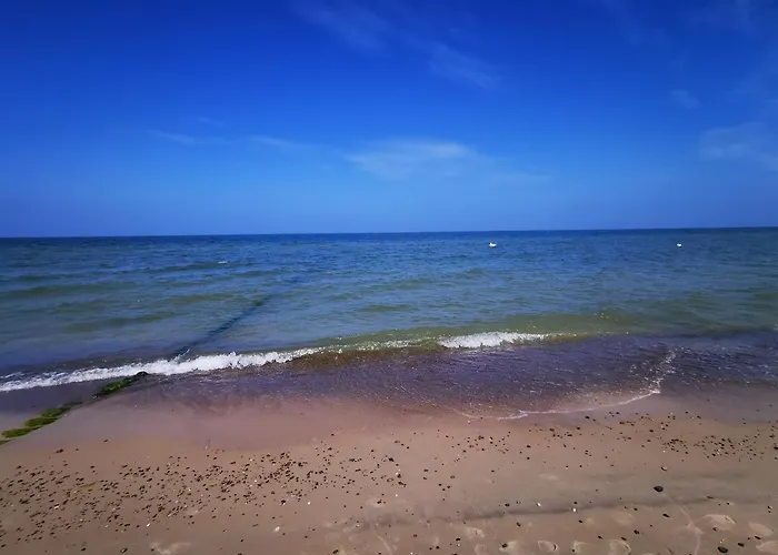 Gold B33 Let's Sea Baltic Park *