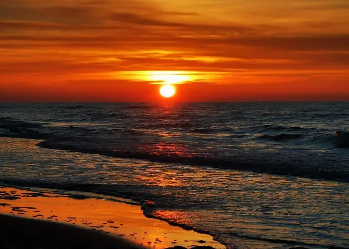 Gold B33 Let's Sea Baltic Park *