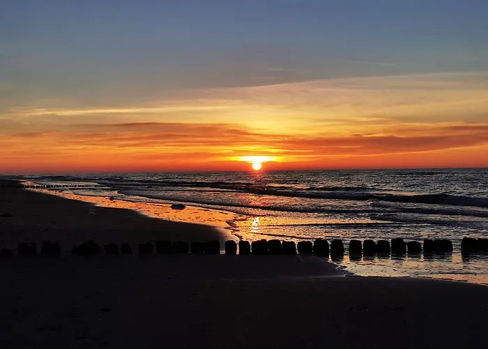 Gold B33 Let's Sea Baltic Park *